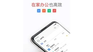 MacOS系统支持哪些WPS版本？
