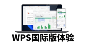 64位Windows系统如何下载WPS？