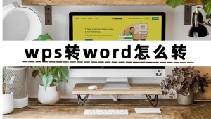 iPhone如何在App Store下载WPS？